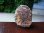 画像1: ムオニオナルスタ鉄隕石原石69.7g (1)
