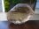 画像1: モンブラン産グインデル水晶(1面ねじれ・クリアスモーキー・マニフェステーション型）87.7g (1)