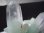 画像2: マダガスカル産グリーン水晶クラスター107.0g (2)
