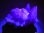 画像2: スカルドゥ産犬牙型（蛍光）カルサイトクラスター69.3g (2)