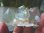 画像2: インドヒマラヤ・パルギ産クローライト＆アナテース付き水晶クラスター71.1g (2)