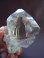 画像1: スカルドゥ産ターミネイテッド型ライトスモーキーＤＴ水晶ポイント223.3g (1)