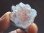 画像1: 内モンゴル産トラピチェ模様ピンクヘデンベルガイト水晶研磨スライス7.8g (1)