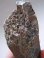 画像2: フィンランド・リプシニエミ産セルフヒールド型モリオン（黒水晶）ポイント244.6g (2)