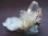 画像1: スカルドゥ産シデライト＆セリサイト付きクリア水晶187.9g (1)