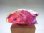 画像1: エロンゴ産バイカラー（ピンク＆カラーレス）フローライト原石（一面研磨）21.0g (1)