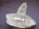 画像1: スカルドゥ産ペネトレーター水晶185.3g (1)