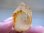 画像2: スカルドゥ産ゴールデンヒーラー水晶原石30.1g (2)