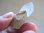 画像2: スカルドゥ産グリーンファントム水晶（セプター）13.0g (2)