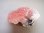 画像1: ピンクアポフィライト&水晶原石（モルデナイト付き）52.0g (1)
