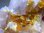 画像1: パキスタン産ライトパープルフローライト原石（ゴールド皮膜）132.9g (1)