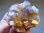 画像2: パキスタン産ライトパープルフローライト原石（ゴールド皮膜）132.9g (2)