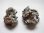 画像1: ダルネゴルスク産キャルコパイライト＆ドゥルージ水晶原石 2点セット トータル43.8g (1)