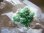 画像2: キャビネットサイズ：スカルドゥ産グリーントルマリン付きＤＴ・カテドラル型スモーキークオーツ441.8g (2)