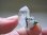 画像1: スカルドゥ産クリア水晶（スティブナイト付き）7.4g (1)