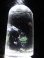 画像1: マダガスカル産研磨水晶（ピンクエンジェルラダー/ネガティブクオーツ/クローライト入り）52.4g (1)