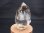 画像1: スペイン・アストゥリアス産クリアDT水晶（水入り＆フローライト付き）23.4g (1)