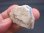 画像2: ウラル山地産ヴィシュネバイト（ヴィシネフ石）原石13.3g (2)
