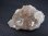 画像1: スペイン・アストゥリアス産カラーレス＆ブラウンフローライト原石（蛍光性あり）36.9g (1)
