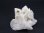 画像2: ダルネゴルスク産スノークオーツ（トレモライト入り水晶）41.8g (2)
