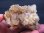 画像1: バイエルン州産カラーレス＆ブルーフローライト原石（オールドストック/蛍光） 172.2g (1)