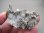 画像2: ダルネゴルスク産アポフィライト＆水晶原石 67.2g (2)