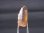 画像1: コンゴ産スモーキー天然シトリン水晶 2.3g (1)
