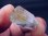 画像2: スカルドゥ産アクアマリン原石（リモナイトインクルージョン） 3.9g (2)
