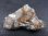 画像1: ブラジル産ルチル入り水晶原石（ゴールドタイチン＆ブルッカイト） 35.6g (1)
