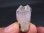 画像1: 南ア・オレンジリバー産ピンクセプター水晶（アメジスト） 9.3g (1)