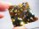 画像1: ロシア産セイムチャン・パラサイト（石鉄）隕石 10.0g (1)