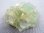 画像1: ヤオガンシャン産ライトグリーンフローライト原石（蛍光あり） 105.6g (1)