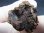 画像1: ケニア産セリコ・パラサイト隕石 15.2g (1)