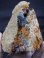 画像1: キャビネットサイズ：スペイン・マラガ産ブルークオーツ原石 693.6g (1)