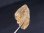 画像2: タンザニア産蛍光スキャポライト原石 15.7カラット (2)