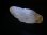 画像2: タンザニア産蛍光スキャポライト原石 25.4カラット (2)