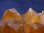 画像2: キャビネットサイズ：ザンビア産天然シトリン水晶クラスター（ゴールデンヒーラー） 390.5g (2)