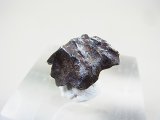 シホテ・アリン鉄隕石 2.0g