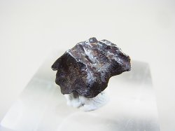 画像1: シホテ・アリン鉄隕石 2.0g