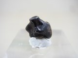 シホテ・アリン鉄隕石 2.3g