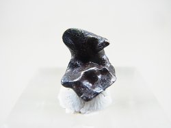 画像2: シホテ・アリン鉄隕石 2.3g