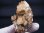 画像1: ダルネゴルスク産水晶＆カルサイト原石 147.4g (1)