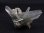 画像1: マニハール産ウォータークリアグリーン水晶（マイカ＆クローライト） 17.6g (1)
