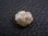 画像2: 天然ダイヤモンド原石（蛍光/ブルー） 2.8カラット (2)