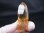 画像1: ガネーシュヒマール・ヒンドゥン産ゴールデンヒーラー水晶ポイント 45.9g (1)
