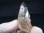 画像1: ガネーシュヒマール・ラパ産ウォータークリア水晶ポイント（バイオタイト入り） 19.2g (1)