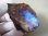 画像1: ヘルシンキスペクトロライト（ブルームーンストーン）研磨原石（1面研磨） 57.1g (1)