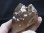 画像1: ベトナム・カインホア産スモーキー水晶（シトリンカラー/カテドラル） 314.3g (1)