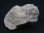画像2: ユタ州産アンダーソナイト（アンダーソン石）原石 19.8g (2)