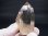 画像1: ガネーシュヒマール・ヒンドゥン産水晶ポイント 50.7g (1)